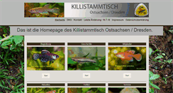 Desktop Screenshot of killistammtisch.de